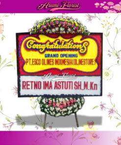 Bunga Papan Congratulations 02