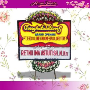 Bunga Papan Congratulations 02